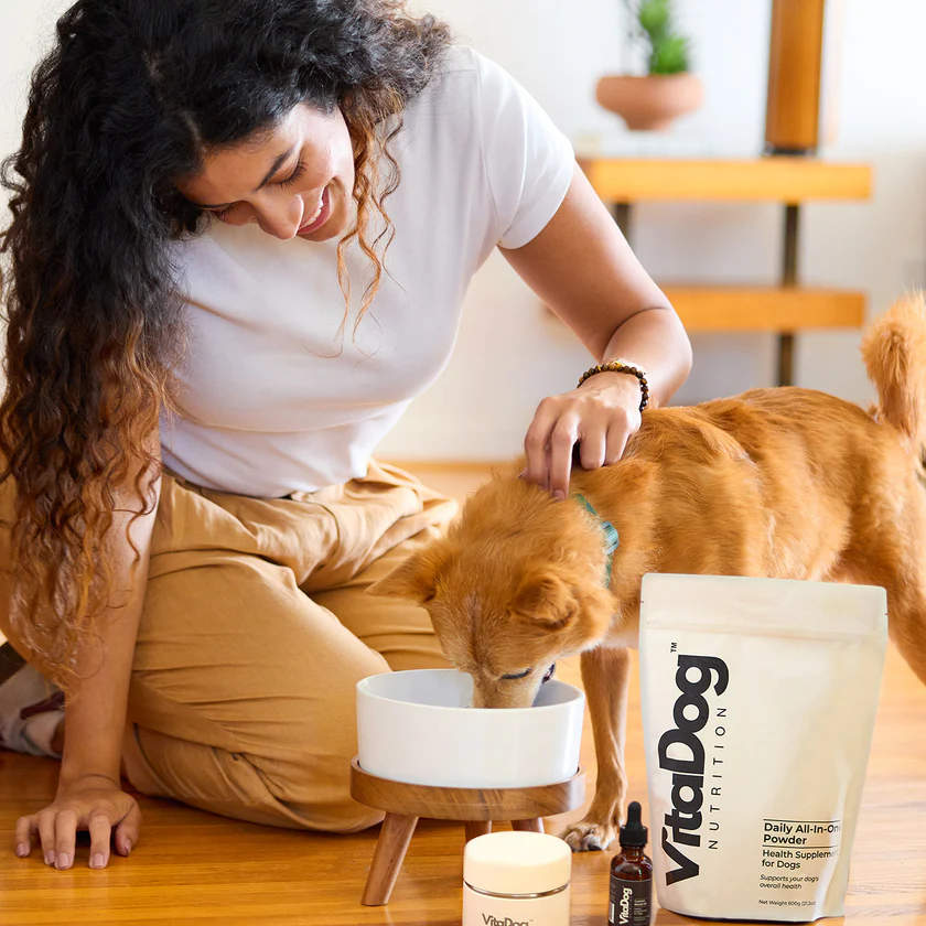 Woman sitting on floor feeding her Golden Retriever from a white bowl, with VitaDog Daily All-In-One Powder bag, shaker, and oil bottle beside them