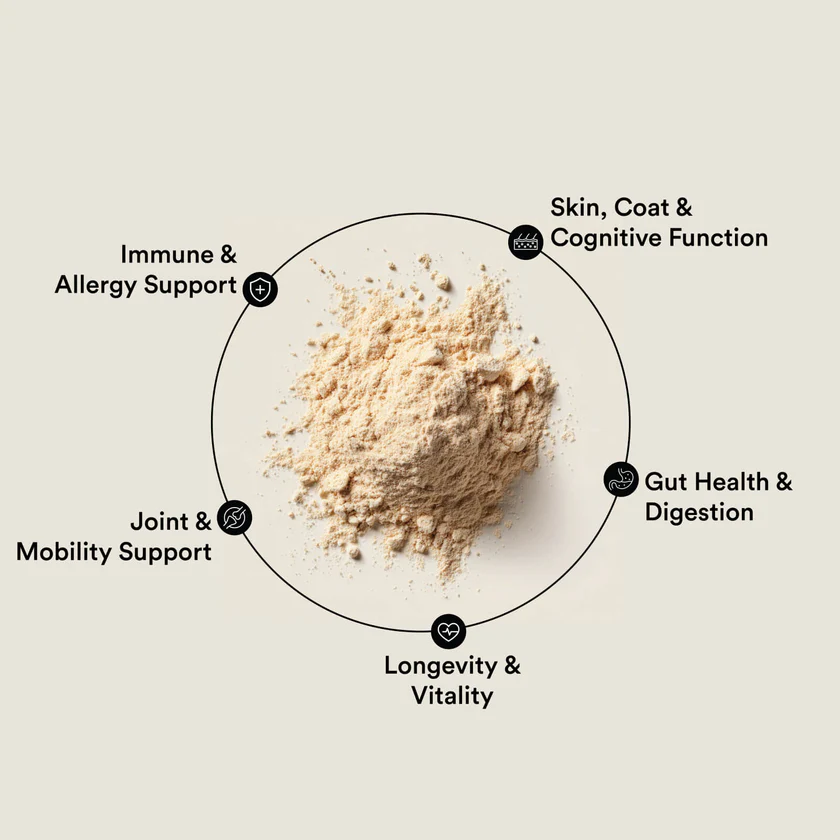VitaDog supplement powder with five health benefit categories: Skin, Coat and Cognitive Function; Immune and Allergy Support; Joint and Mobility Support; Gut Health and Digestion; Longevity and Vitality