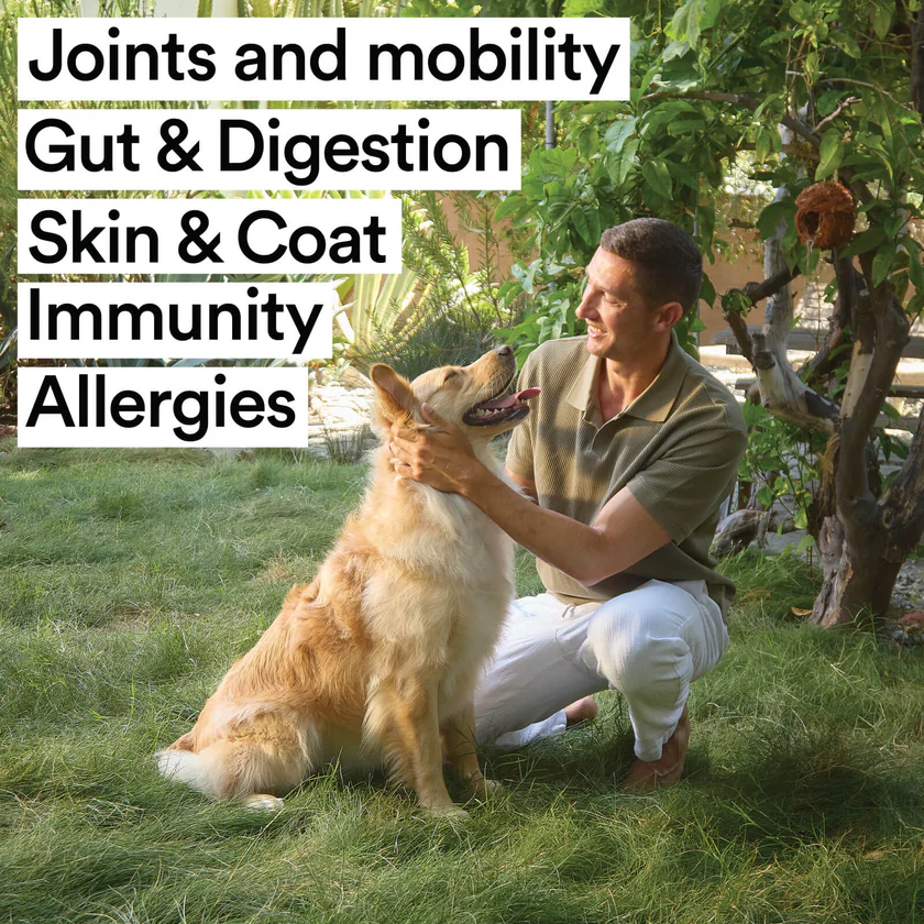 Man petting his Golden Retriever outdoors. Text highlights five health areas: Joints and mobility, Gut and Digestion, Skin and Coat, Immunity, Allergies