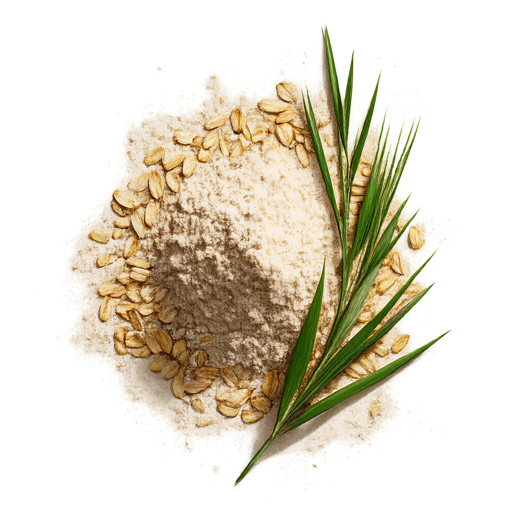 Oat Flour